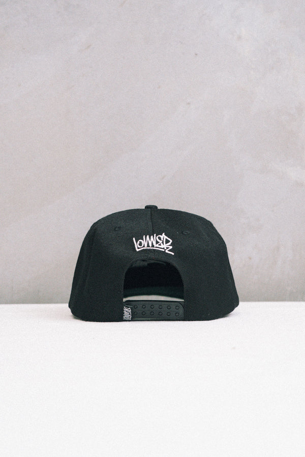 6 Panel - Head